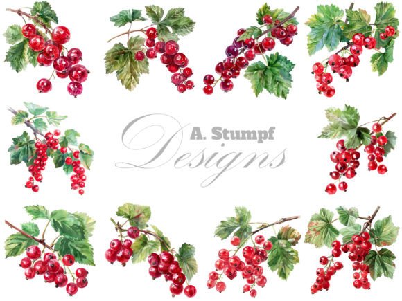 Download Currants Watercolor Berry Clipart Set - Berry clipart Collection